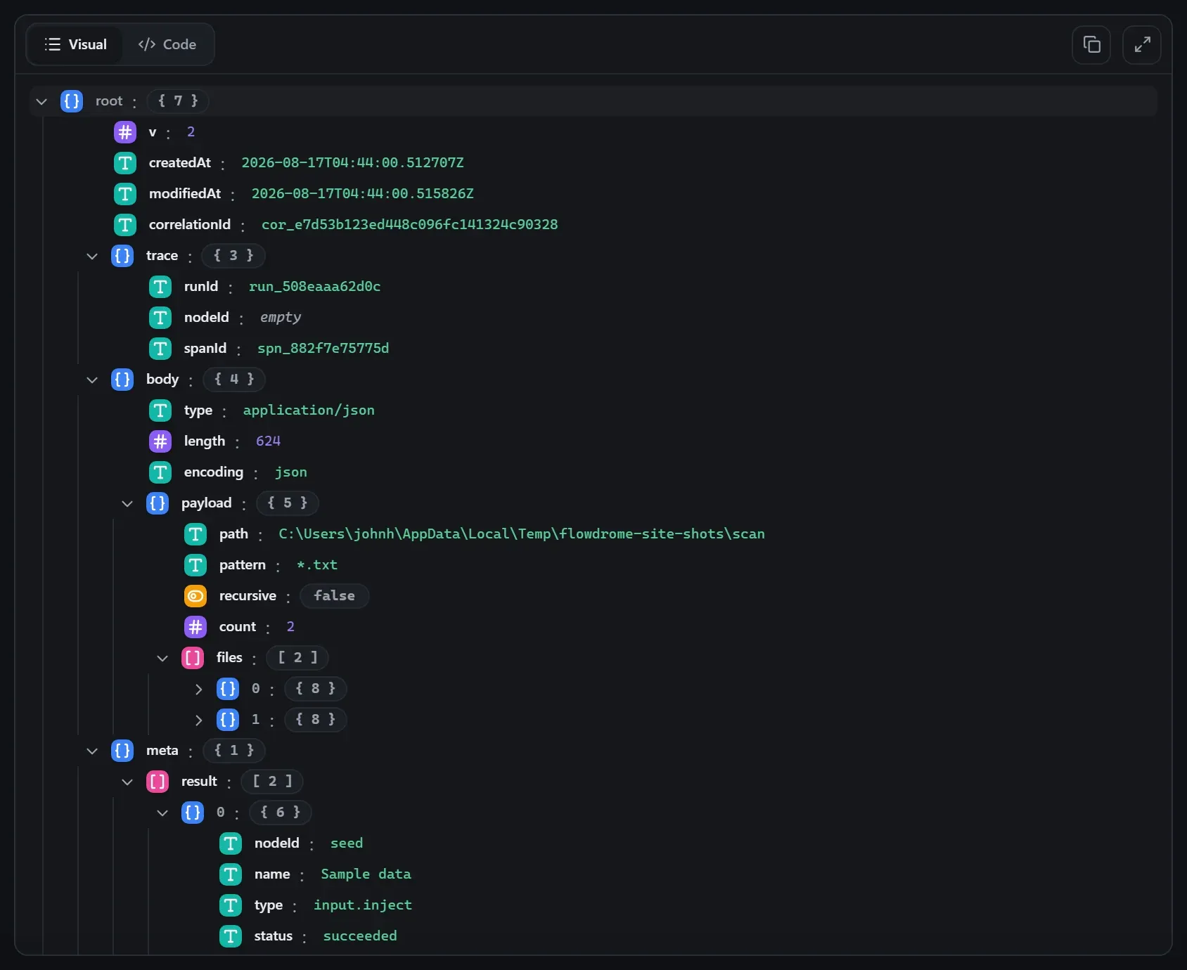 The Directory Scan node's output envelope in the run data viewer
